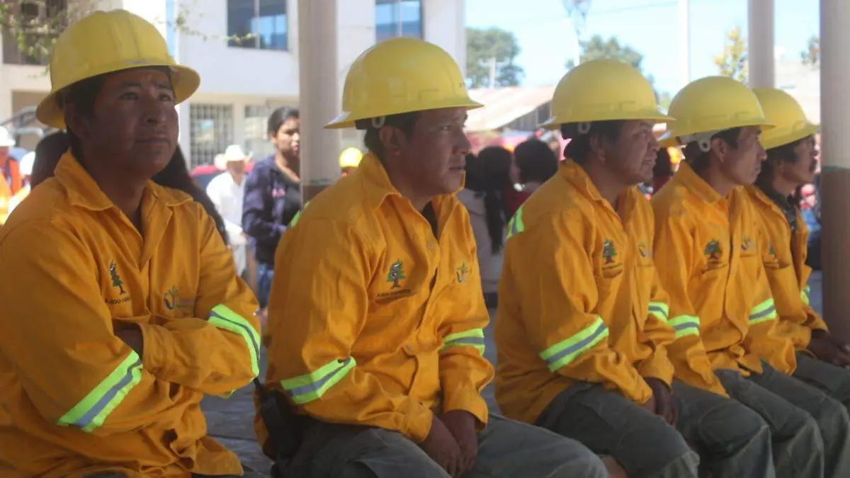 Brigadistas atienden el fuego en varios municipios de la sierra